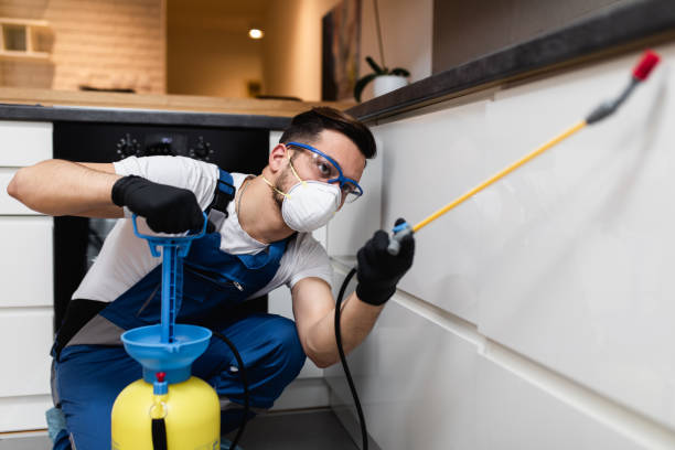Best Rat Extermination Near Me  in Tiffin, IA