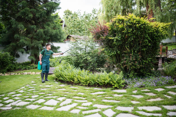 Best Best Pest Control Companies  in Tiffin, IA