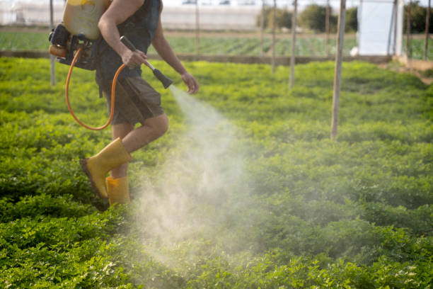 Best Pest Control Cost  in Tiffin, IA