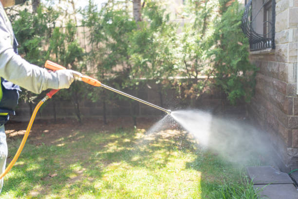 Best Mosquito Control Services  in Tiffin, IA