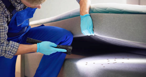 Best Pest Removal Services  in Tiffin, IA