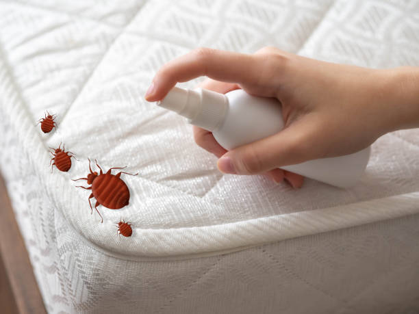 Best Affordable Pest Control Services  in Tiffin, IA