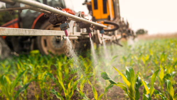 Best Pest Control Treatment  in Tiffin, IA