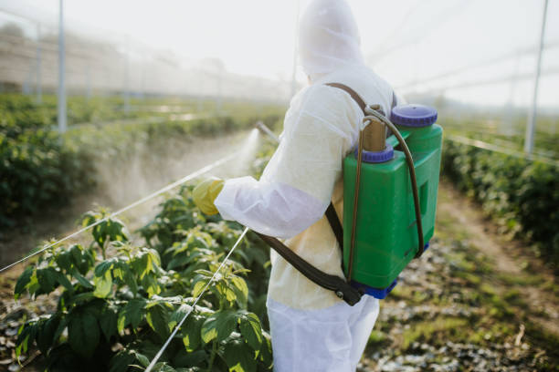 Best Best Pest Control Companies  in Tiffin, IA